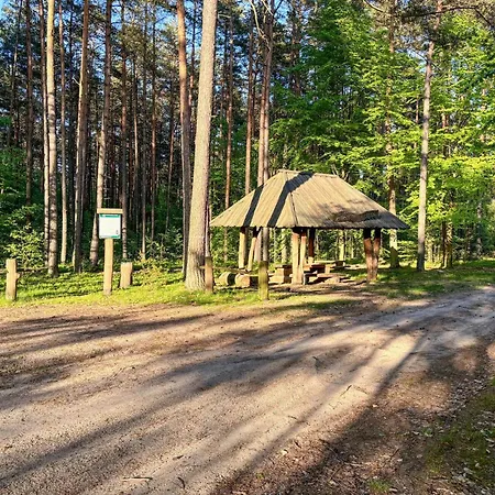 Casa vacanze Cozy In With Wifi Jamielnik (Nowe Miasto)